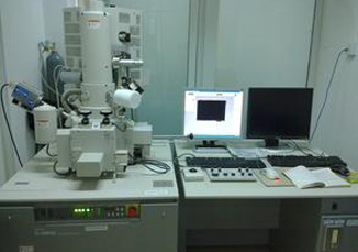 皮革材質鑒定方法淺談