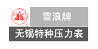 無錫市特種壓力表有限公司