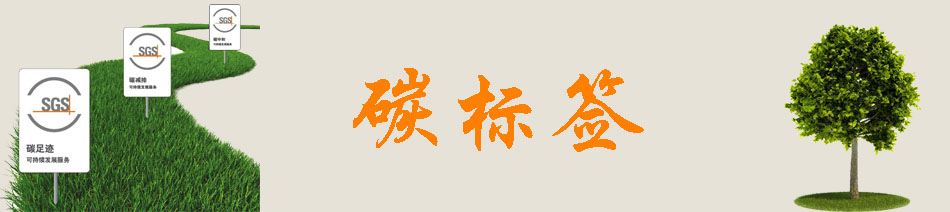 非主流：我們對腐敗到底是恨還是愛？